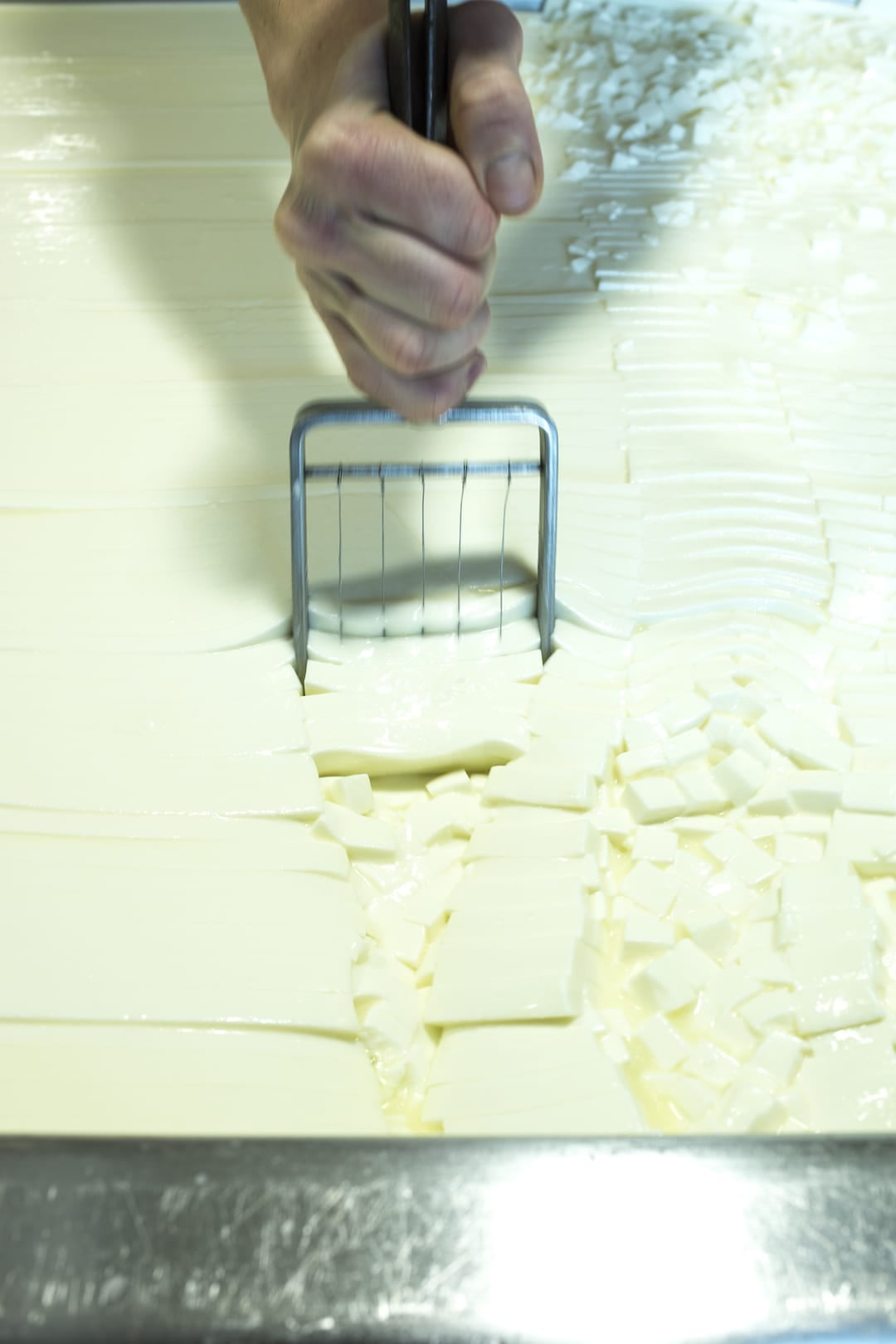 Geste artisanal de fabrication du Roquefort au lait cru, prolongement direct du métier symbolisé par le berger de la légende